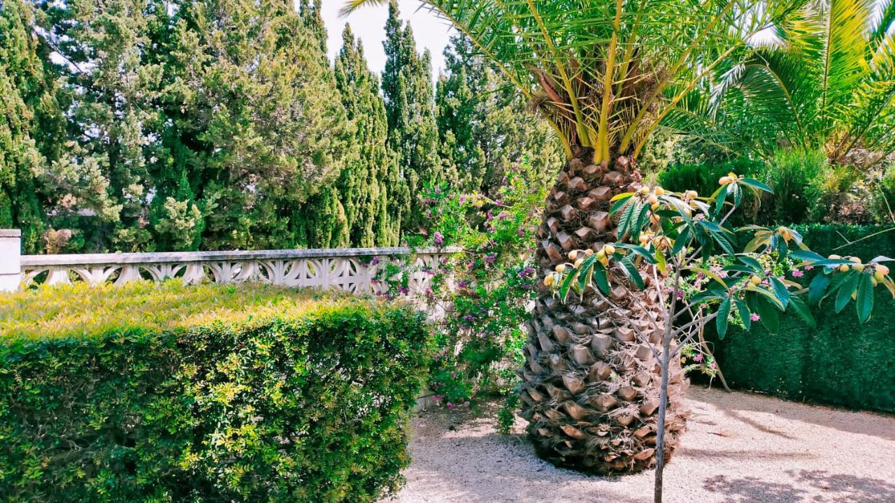 Villa El Palmar Denia Exteriér fotografie
