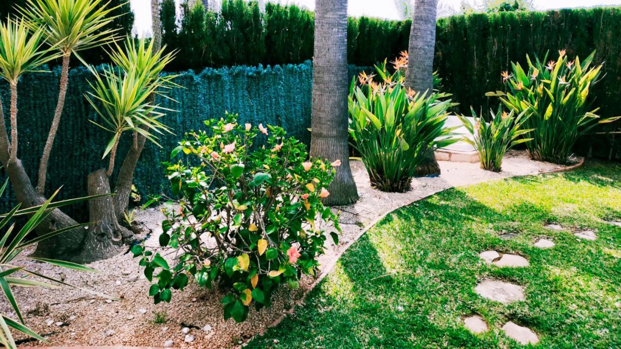 Villa El Palmar Denia Exteriér fotografie